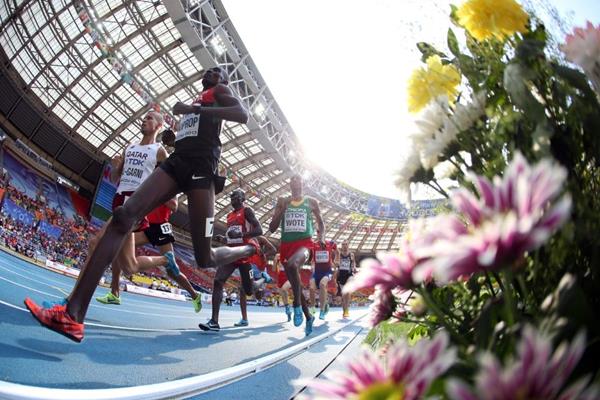 Action shot in the mens 1500m at the IAAF World Championships Moscow 2013 (Getty Images)