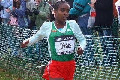 A familiar looking bib: Genzebe Dibaba - junior women's champion - Edinburgh 2008 (Getty Images)