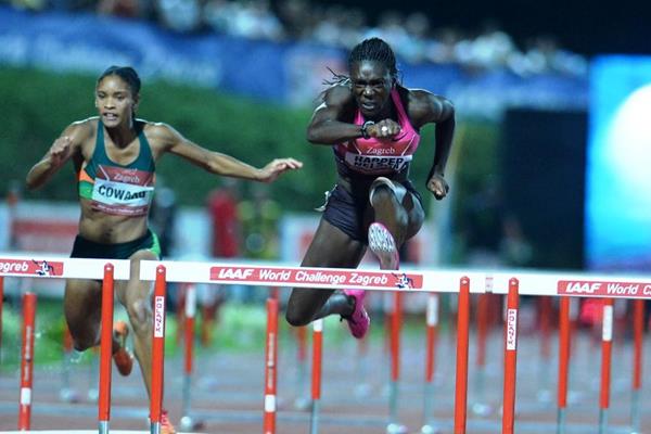 Dawn Harper-Nelson in action at the 2013 IAAF World Challenge meeting in Zagreb (Organisers)