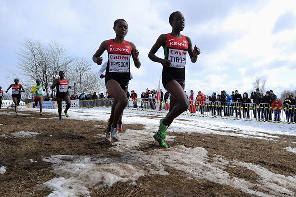 Eventual winner Faith Chepngetich Kipyegon (KEN) during the junior women's race at the 2013 IAAF World Cross Country Championships, Bydgoszcz, Poland (Getty Images)