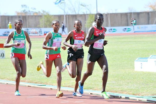 Dawit Seyaum (29) on her way to winning the 1500m at the 2013 African Junior Championships ()