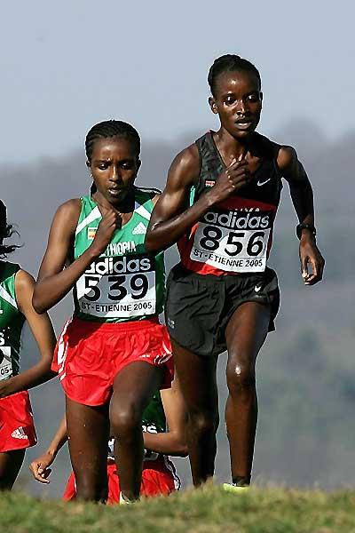 Tirunesh Dibaba (ETH) follows Isabella Ochichi (KEN) - 2005 World Cross Country (Getty Images)