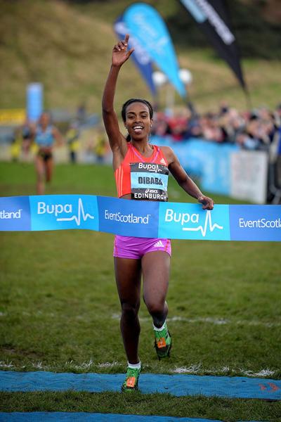 Genzebe Dibaba wins the international women's 3km race at the Bupa Edinburgh Cross Country (Mark Shearman)