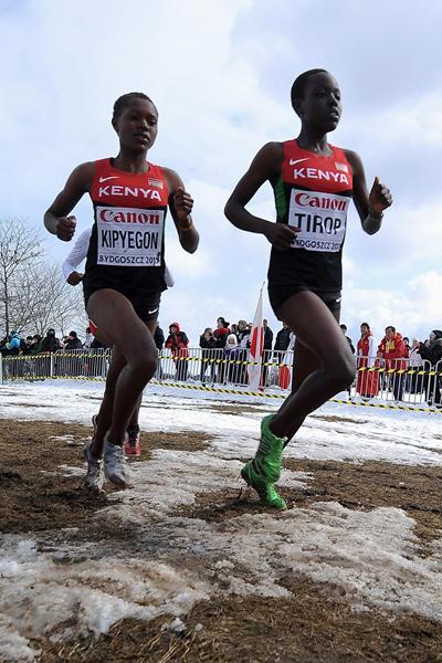 Eventual winner Faith Chepngetich Kipyegon (KEN) during the junior women's race at the 2013 IAAF World Cross Country Championships, Bydgoszcz, Poland (Getty Images)
