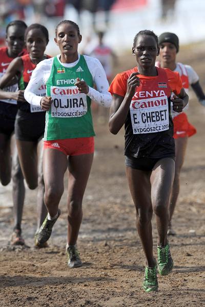 Emily Chebet of Kenya leads the senior women's race at the 2013 IAAF World Cross Country Championships, Bydgoszcz, Poland (Getty Images)