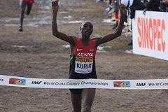 Japhet Kipyegon Korir wins the senior men's race at the 2013 IAAF World Cross Country Championships, Bydgoszcz, Poland  (Getty Images)