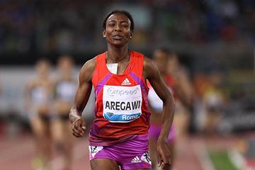 Abeba Aregawi claims the Ethiopian 1500m record in Rome (Giancarlo Colombo)