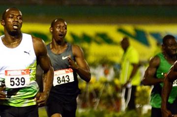 Usain Bolt cruising through the 200m semis in Kingston (Anthony Foster)