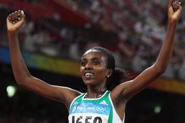 2008 double Olympic champion Tirunesh Dibaba (Getty Images)