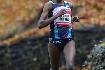 Tirunesh Dibaba en route to a 46:28 World record in the 15Km in Nijmegen (Aktiefoto)