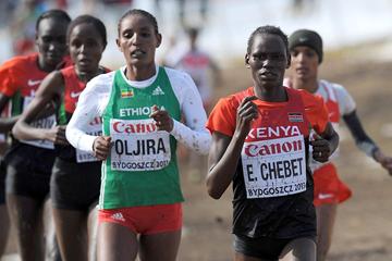Emily Chebet of Kenya leads the senior women's race at the  2013 IAAF World Cross Country Championships, Bydgoszcz, Poland (Getty Images)