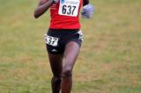 NCAA Cross Country Championships - Sally Kipyego (Texas Tech) (Kirby Lee)