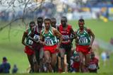 Bekele heads the men's short race (Getty Images)