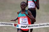 Kenya's Emily Chebet wins the women's senior cross country title in Bydgoszcz 2010 (Getty Images)