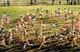 Cross Country race - general view (Getty Images)
