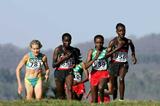 (left to right) Johnson, Timbilili, Dibaba, Ochichi (Getty Images)