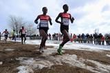 Eventual winner Faith Chepngetich Kipyegon (KEN) during the junior women's race at the 2013 IAAF World Cross Country Championships, Bydgoszcz, Poland  (Getty Images)
