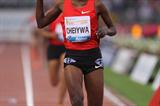 Milcah Chemos in Rome takes another Steeplechase victory (Giancarlo Colombo)