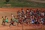 The junior men's race gets underway in Amman (Getty Images)