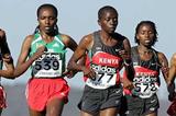 Tirunesh Dibaba contests the short race with Kenya's Priscah Jepleting (577) and Lucy Wangui (578) (Getty Images)