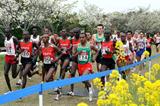 Kenenisa Bekele in the vanguard of the men's Short Race in Fukuoka (Getty Images)