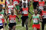 Kenenisa Bekele heads the men's Short Race (Getty Images)