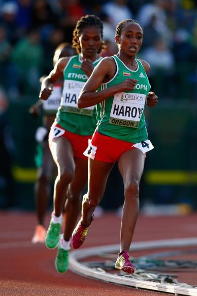 Alemitu Haroye on her way to 5000m gold at the IAAF World Junior Championships, Oregon 2014 (Getty Images)